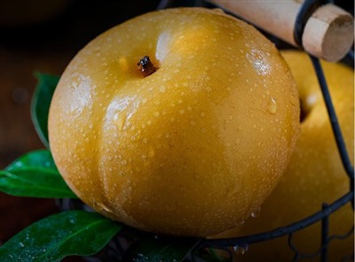 Inovasi Berterusan Laiyang Pear