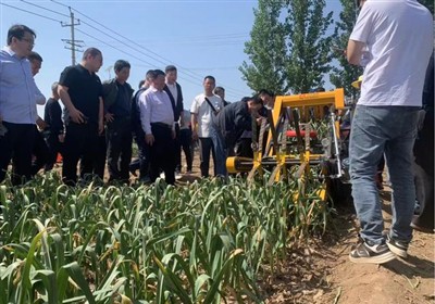 Forum Bawang Putih Kebangsaan (NGF)