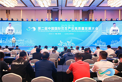 Keharmonian Dan Penciptaan Bersama Dilahirkan Sepanjang Masa