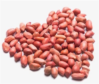 Kacang Mentah Besar Segar